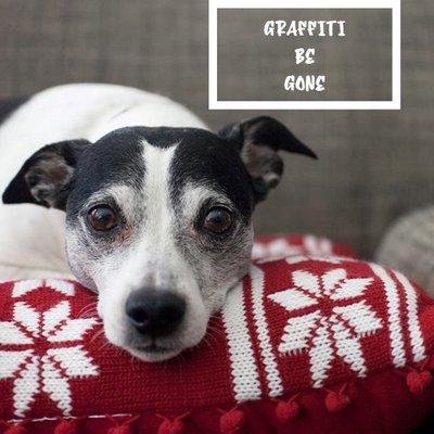 This doggie is worried about unsightly graffiti on the fence of his back yard!