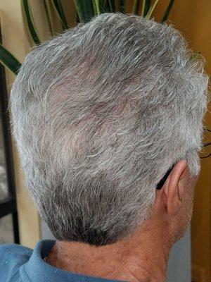 Men's hair color silver fox