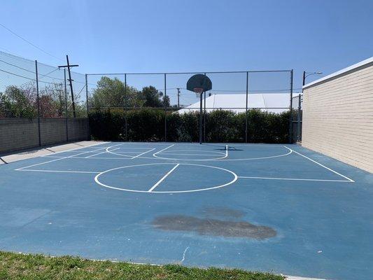 Backyard half basketball court