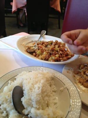 Szechuan chicken with peanuts. Spicy!