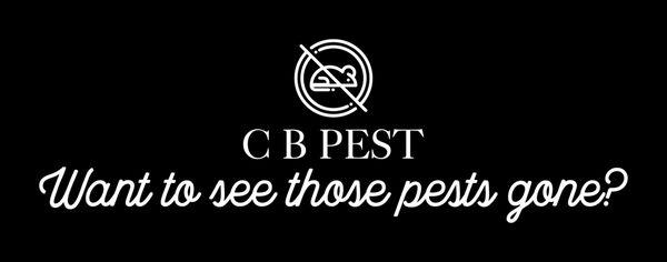 CB Pest