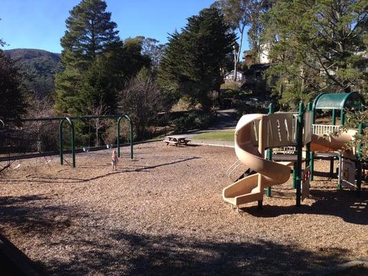 Play structure and swings.