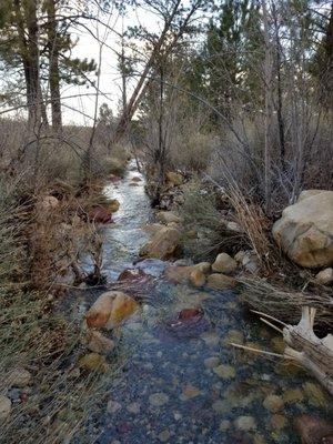 Pine creek is accessible from the ecology loop.