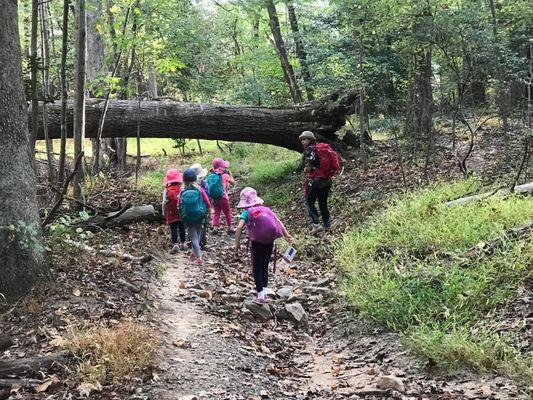 Our nature based preschool includes monthly forest immersion days at a local national park with our Outdoor Resource Specialist