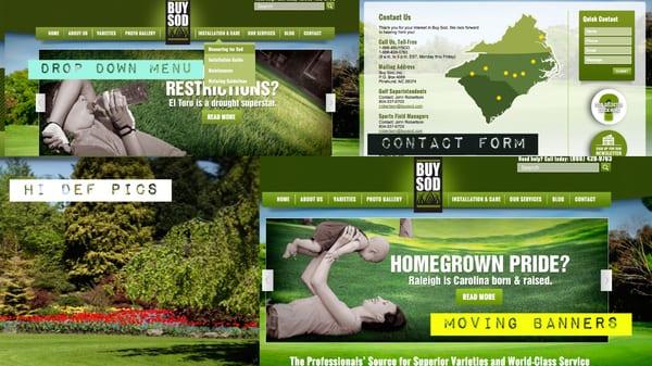 Lawn & Sod company website designs