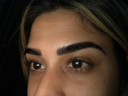 I envy my own brows