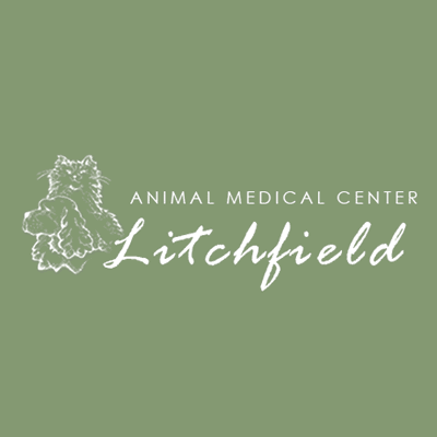 Animal Medical Center