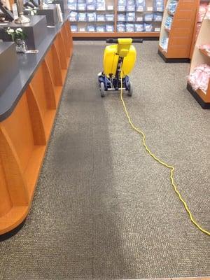 Big Green Steam Clean of Logan Utah - Commercial Carpet Cleaning in Logan Utah