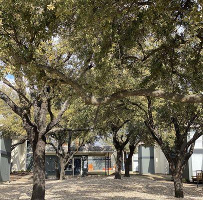 Villas at Cantamar Apartments Fort Worth, TX | Mature trees