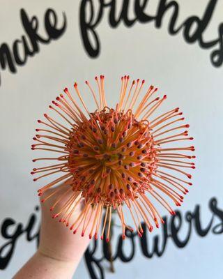 Orange pin cushions