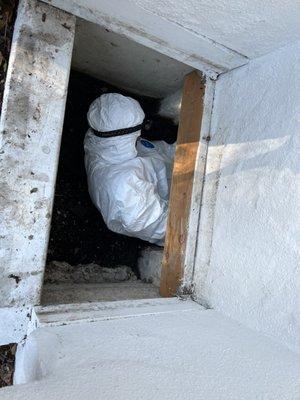 Crawlspace inspection