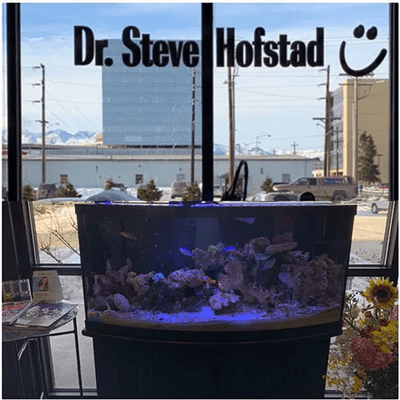 Make an appointment to come see us today! You can enjoy our beautiful saltwater tank while you briefly wait to be seen!