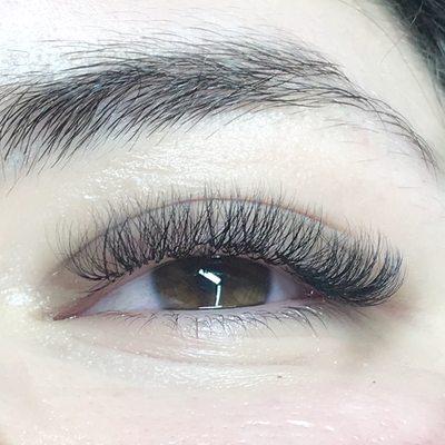 Volume Lashes