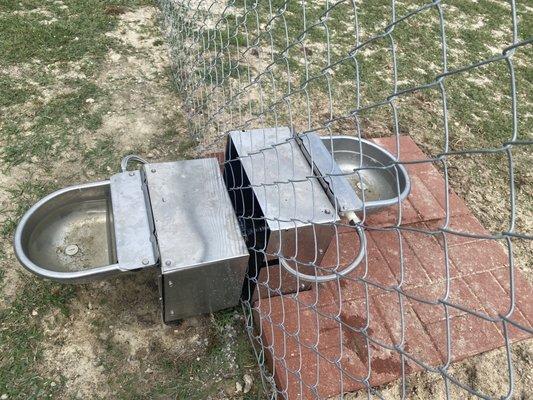 Newly added automatic (?) watering station on the fence line serves both yards. But how do you replace the warm, dirty water?