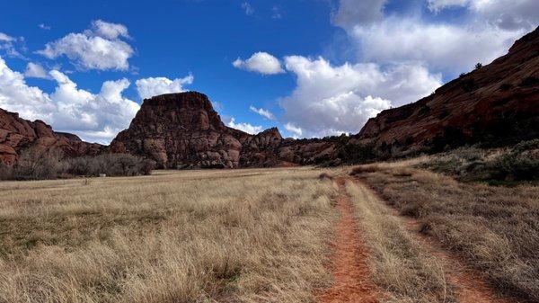 Near steelbender trail