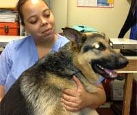 Jasmine has been here 15 years and is an integral part of the daily operations. She cares for the patients as if they were hers.