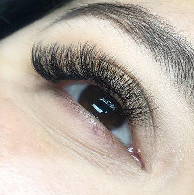 Volume Lashes