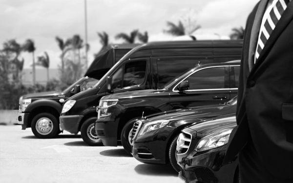 Fleet of vehicles for any occasion!