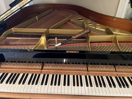 Tuning a beautiful baby grand