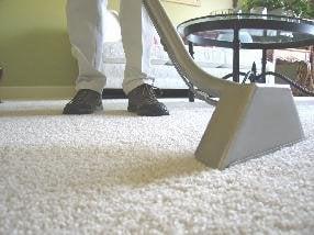 Dr. Steemer Carpet And Upholstery Cleaning