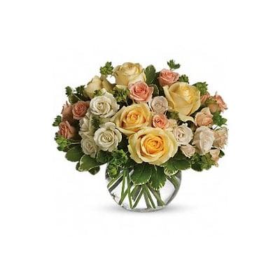 Here is a picture of the arrangement as featured on Ueckert's website that I ordered.