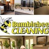 Bumblebee Cleaning and Restoration