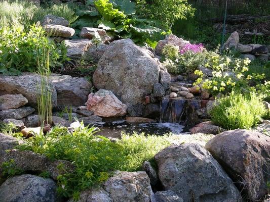 A water feature can bring such pleasure to any landscape.