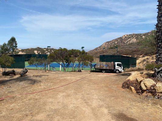 Tennis court repainted, new wind screen installed and new net. Beautiful job!