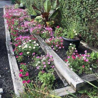 Beautiful garden at edge of parking lot