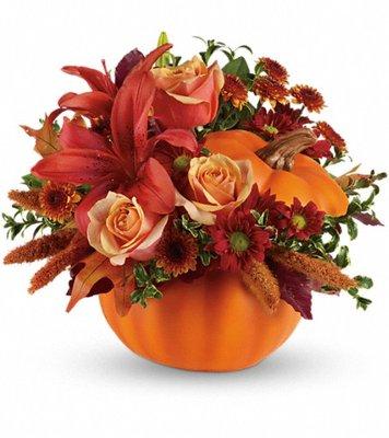 Beautiful choices for Fall, from Toole Florist!