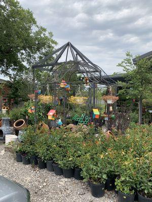 Down to Earth Nursery