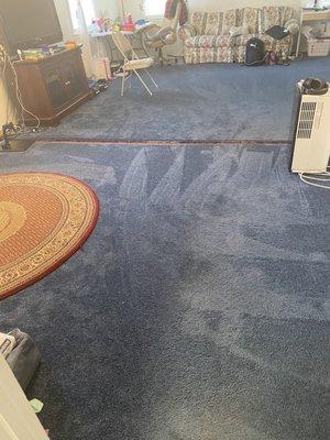 Royal blue remnant carpet over laminate flooring