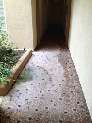 Why would you put carpet where it rains?