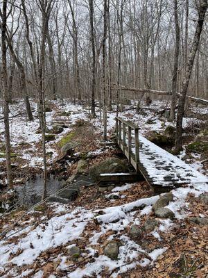 Bridge over the Brook Sandy