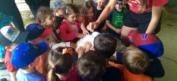 PreK-3 Field Trip to a Farm