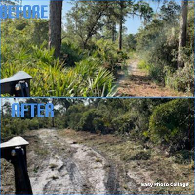 Florida Forestry Mulching & Land Service