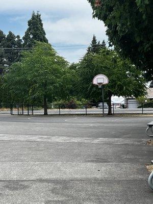 Basketball court