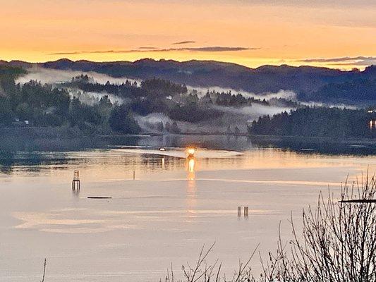 Coos Bay view from my backyard!