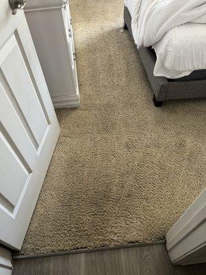 Green Carpet Cleaning Service