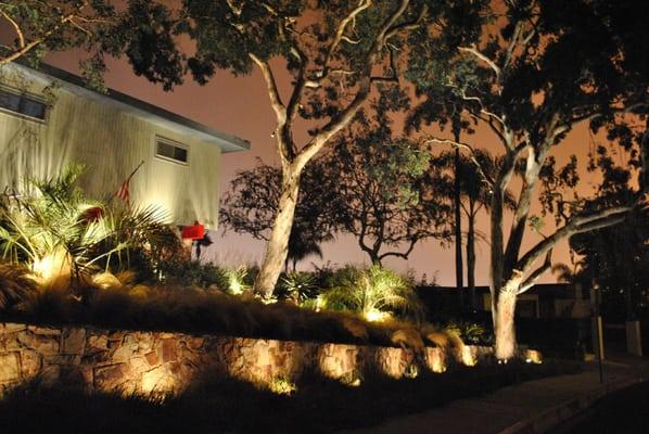 Voted "BEST" in landscape lighting