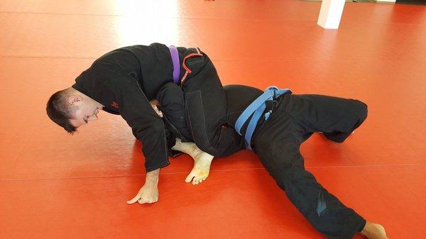 BJJ rolling - Purple belt is about to finish an arm bar from top.