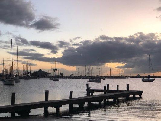 Sunset at davis island yacht club