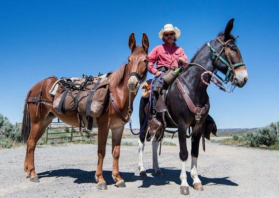 Playing with the mules