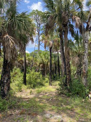 Double Branch Nature Preserve