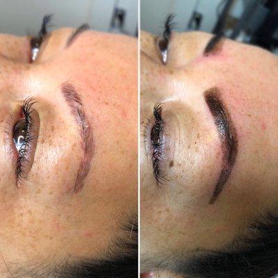 Henna Brows (previous microblading done by another artist)