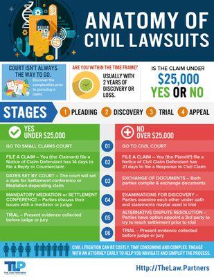 TLP - The Anatomy of Civil Lawsuits