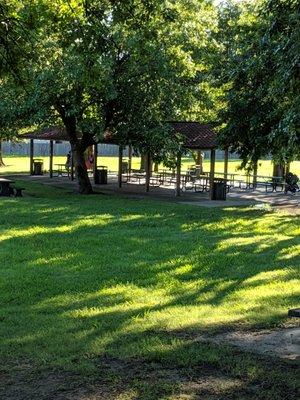 Pavilion hidden by trees