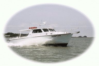 Maryland Fishing Charters