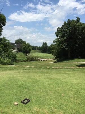 10th Hole Gold Tee view