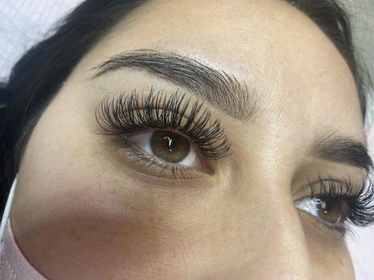 Classic lashes